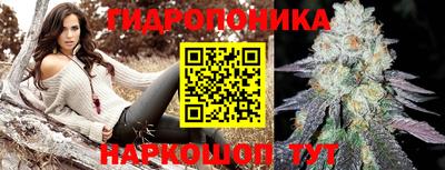 молекула духа Сланцы