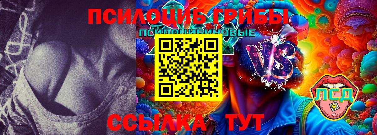 Псилоцибиновые грибы MAGIC MUSHROOMS  Псилоцибиновые грибы Psilocybine cubensis  Нефтекамск  Вход с VPN 